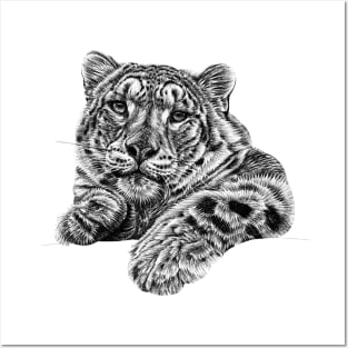 Snow leopard illustration Posters and Art